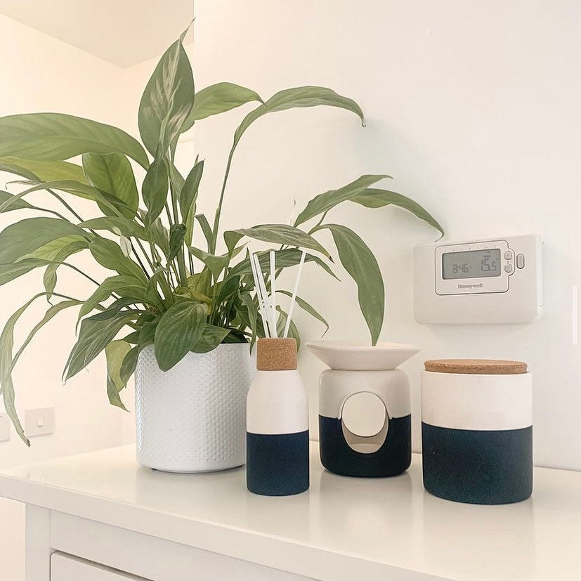 The Ultimate Guide To Making Your House Smell Amazing