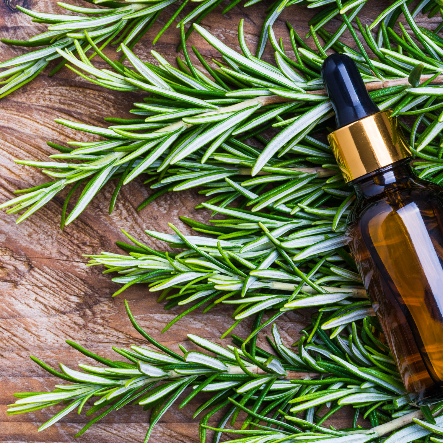 The Benefits and Uses of Rosemary Essential Oil
