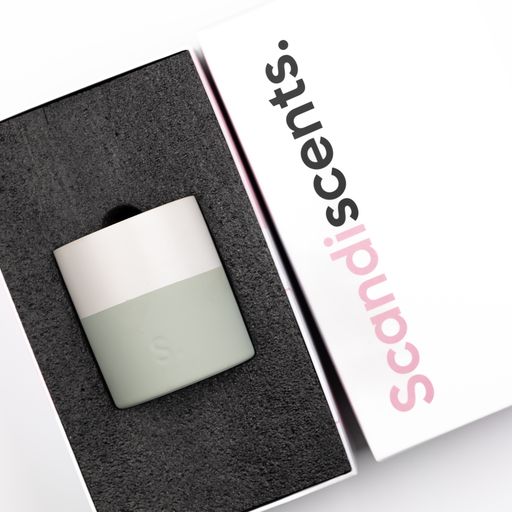Sage Double Wick Soy Candle