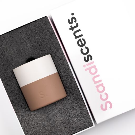 Terracotta Double Wick Soy Candle